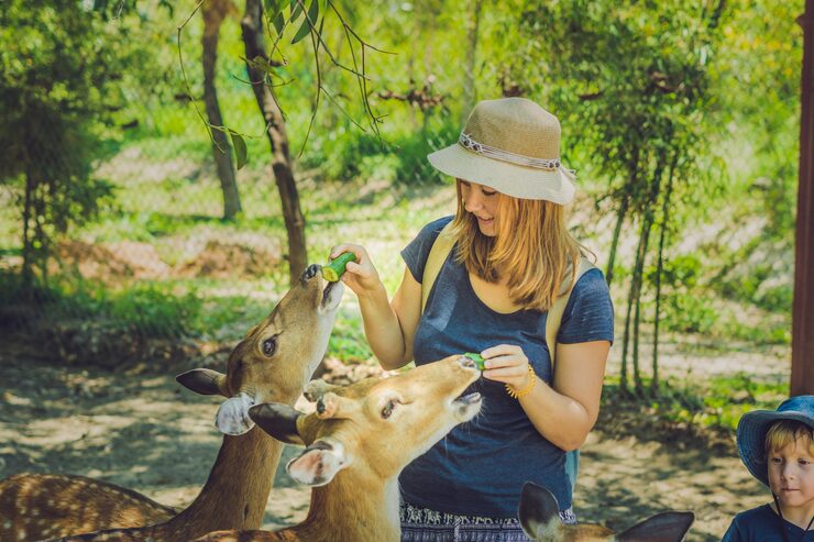 Sumatra wildlife tour
