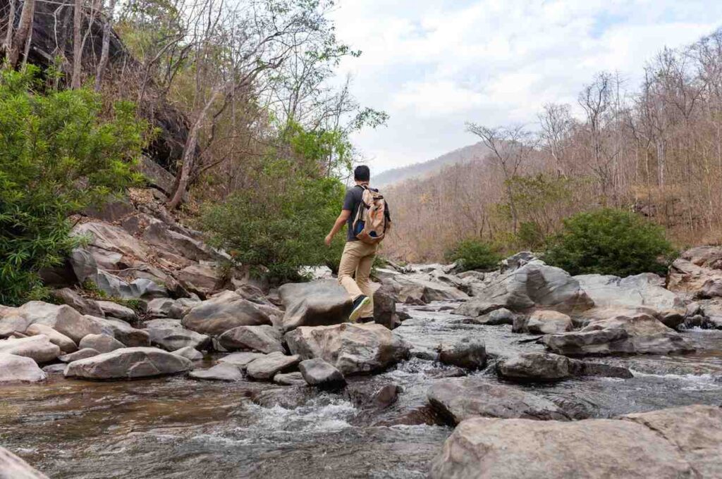 Sumatra nature adventure tours